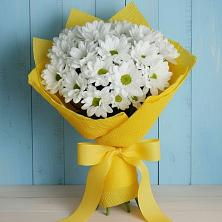 Букет цветов из:  Хризантемы в Сергиевом Посаде