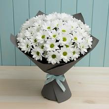 Букет цветов из:  Хризантемы #REPLACE_PRED# Сергиевом Посаде