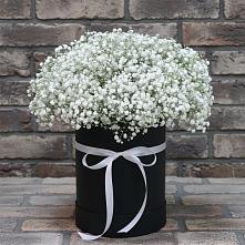 Цветочная композиция из Гипсофила в шляпной коробке #REPLACE_PRED# Сергиевом Посаде